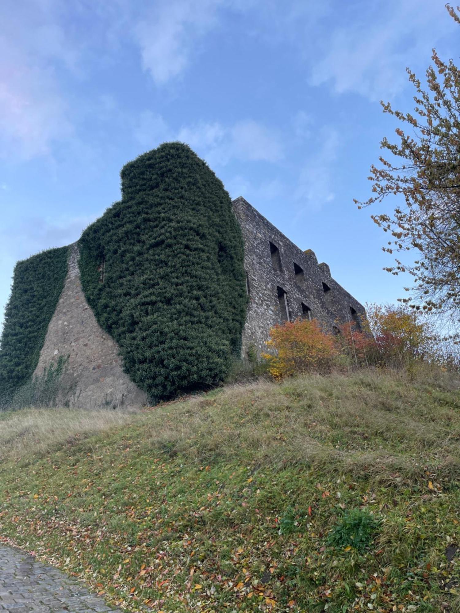 Ritterstube - Eifelstuben Mit Charme, Naehe See Und Burg, Aussergewoehnlich, Vulkaneifel Ulmen Exterior foto